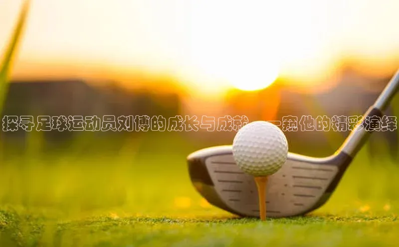 恒盛平台登录入口网站百度信誉探寻足球运动员刘博的成长与成就，一窥他的精彩演绎