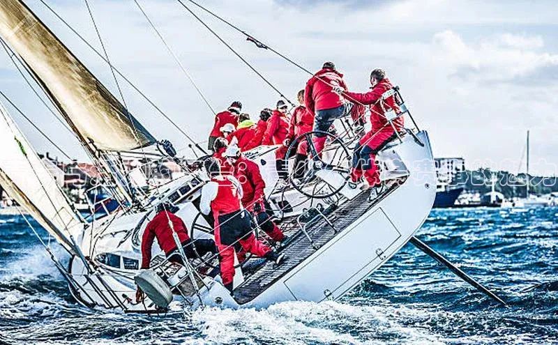 恒盛娱乐登录百度学术青春与活力的舞台：青少年体育赛事的魅力