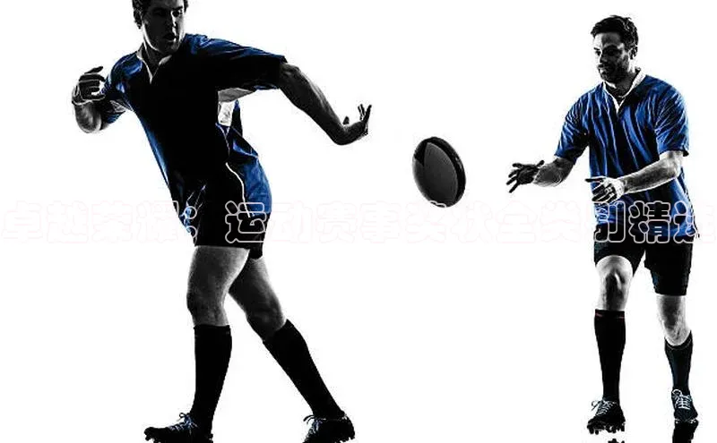 恒盛平台登录入口网页版