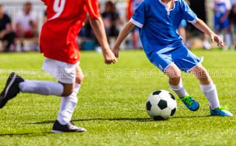 恒盛平台登录入口网站