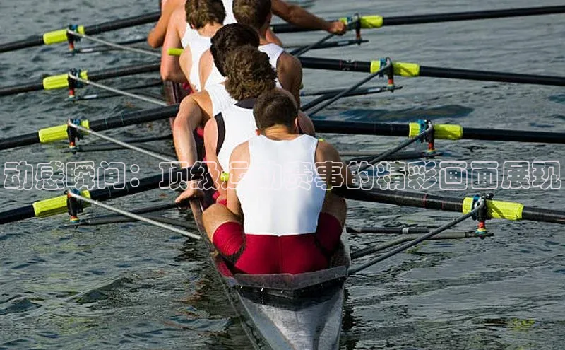 恒盛平台登录入口网站